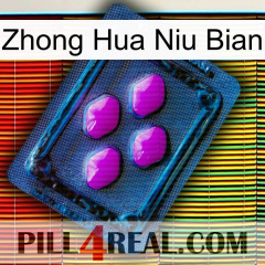 Zhong Hua Niu Bian 04